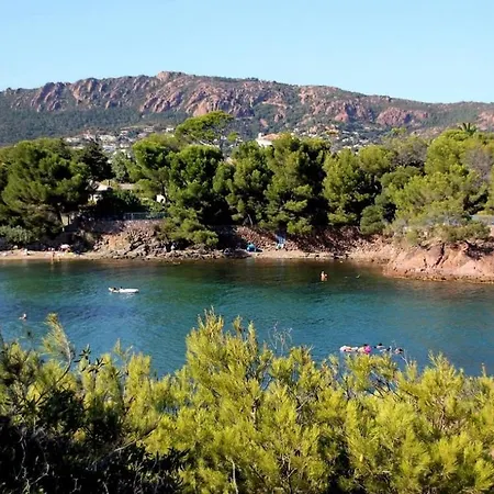 Lägenhet Cosy A 200m De La Mer! Saint-Raphaël