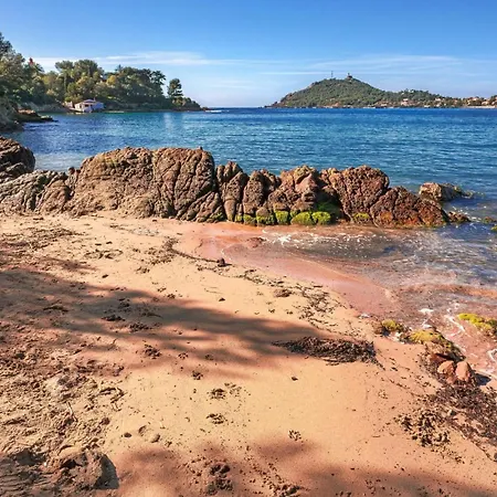 Apartamento Cosy à 200m De La Mer!